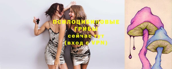 ГАЛЛЮЦИНОГЕННЫЕ ГРИБЫ Куйбышев