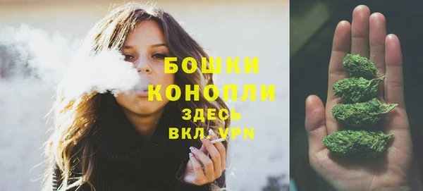 дурь Кулебаки