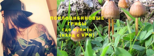 марки nbome Кукмор