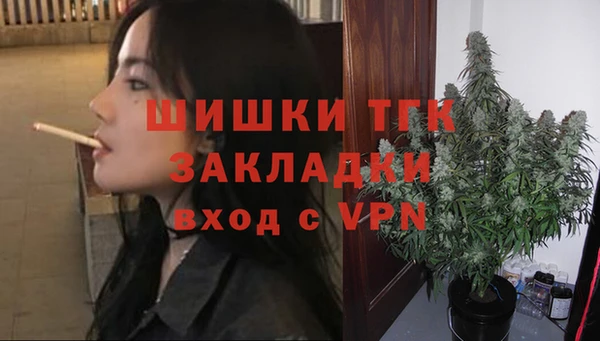 ГАЛЛЮЦИНОГЕННЫЕ ГРИБЫ Куйбышев