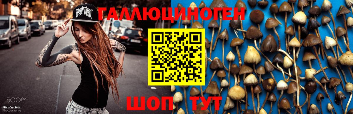 Галлюциногенные грибы мухоморы Тейково