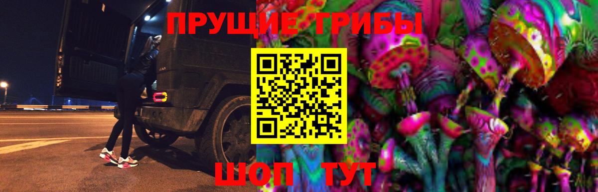 Тейково  Псилоцибиновые грибы MAGIC MUSHROOMS  Вход с VPN 