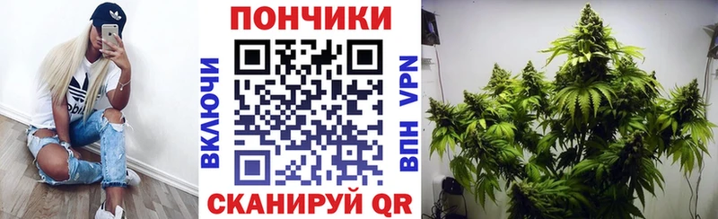 Каннабис MAZAR Тейково
